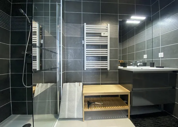 Apartmán T2 2* Avec Balcon Et Parking A 250m De La - Fr-1-738-37